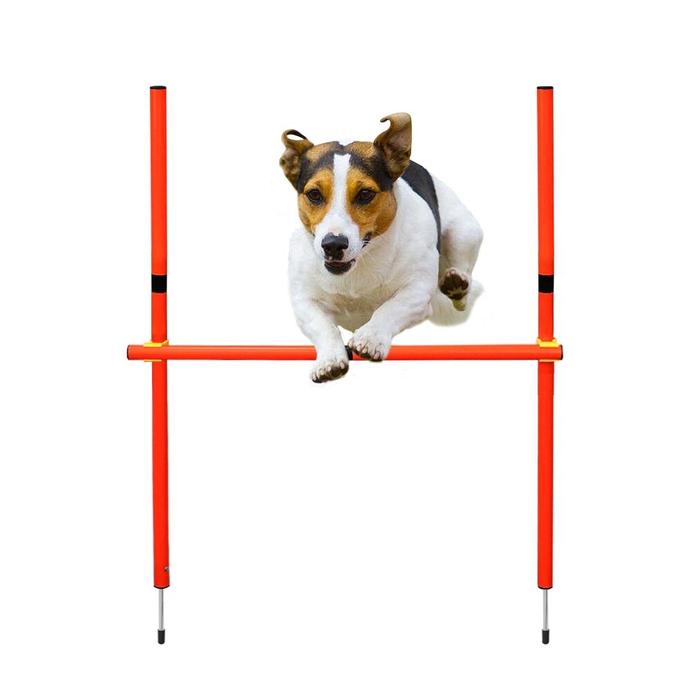 Dog Agility Hurdle Training Equipment